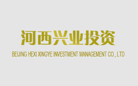河西兴业投资